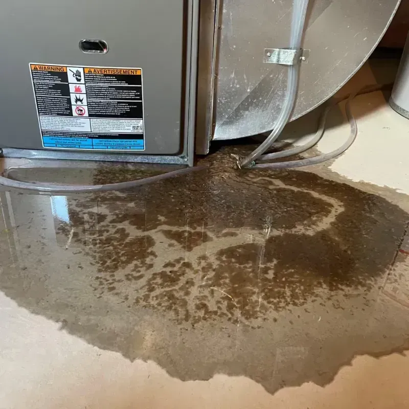 Appliance Leak Cleanup in Etowah, TN